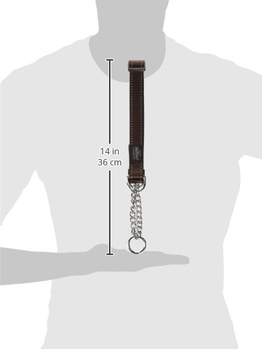 Reflective Nylon Choke Collar; Slip Show Obedience Training Gentle Choker For Extra Large Dogs, Brown #TOP6