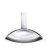 CALVIN KLEIN Euphoria Eau de Parfum for her, orientalisch-blumiger Damenduft, 100ml