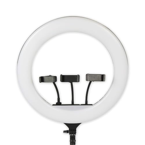 Image of 18'' Inch LED Ring Light with Remote & 3 Mobile Holder | USB Powered Selfie Ring Light | 3 Color Modes | Dimmable Ring Light for YouTube, Makeup, Video Recording, Photography (Without Stand)