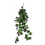 Photo Gallery feegow vite di fiori artificiali, pianta rampicante in finta seta e plastica, kit di decorazione floreale artificiale per la casa, regalo per donne e uomini (viola gloria mattutina) Photo Gallery feegow vite di fiori artificiali, pianta rampicante in finta seta e plastica, kit di decorazione floreale artificiale per la casa, regalo per donne e uomini (viola gloria mattutina)