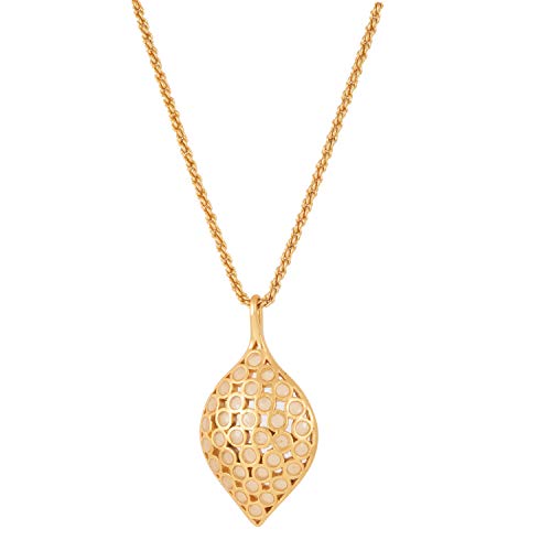 24Kt Plated Shell Chain Necklace Set