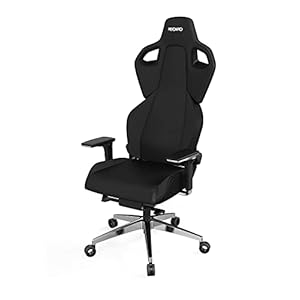 RECARO Exo Platinum Gaming Stoel I In hooge verstelbare & ergonomische gamers stoel met 5D-armleuningen voor zitcomfort tijdens het gamen & aan het buro I ademende stoffen I Gaming Chair Black & Black