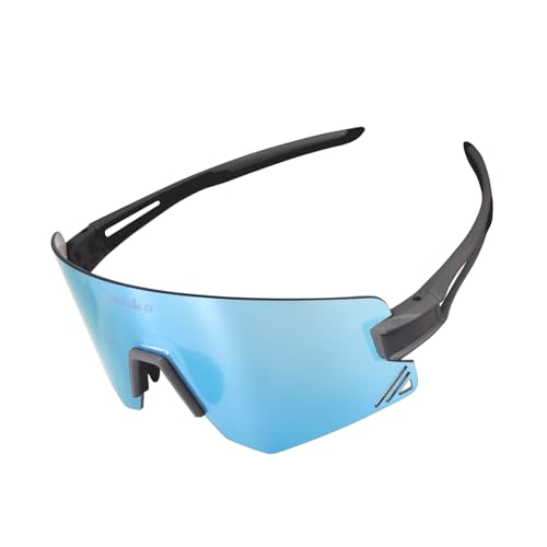 SQUALO ΌTOXAUVJbgTCNOTOXAfB[XAYA~[YthS[O(O[/u[)