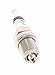 Bosch Automotive FR78 Platinum+4 FGR7DQP spark plug(Pack of 1)