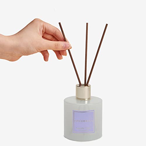 Cocorrína Premium Reed Diffuser Set with Preserved Baby's Breath & Cotton Stick Lavender Thyme | 6.7oz Scent Fragrance Lavender Oil Diffuser for Bedroom Bathroom Home Décor - Image 5