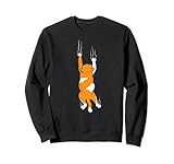 Gatto Soriano Bianco Arancione SpecialTee Co