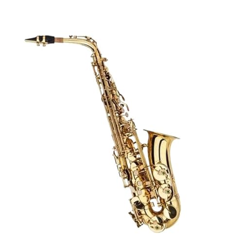 TbNX EAgTbNXi^JbJ[dグj LOP[XA܁AXgbvAN[jONXAuVt