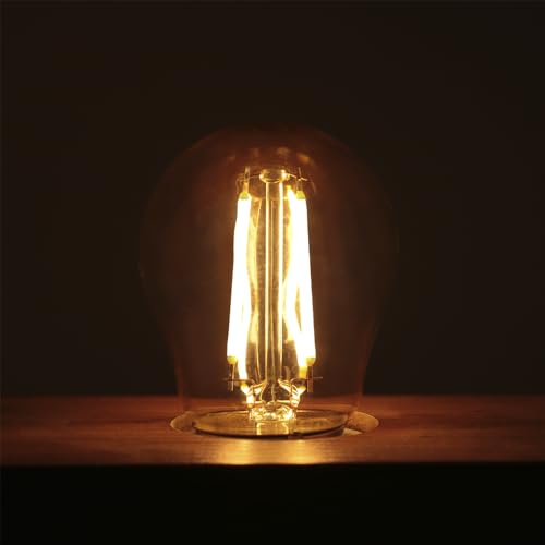 Kit 10 Lâmpada Filamento Led G45 Vintage Retro Carbono Ambar