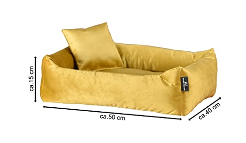 Rohrschneider Luxus Hundebett Kuschelsofa mit Rand, Weich - Inklusive Hundekotbeutel, Samt-Stoff 81.000 Scheuertouren, Senf, Größe S (kleine Hunde)