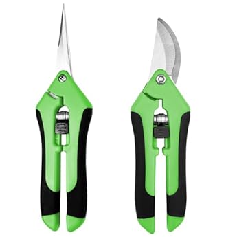 Foto di Chiluxendo 2 Pezzi Forbici Potatura Professionali, Cesoie Giardinaggio con Manico Ergonomico, Forbice da Potature, Forbici da Giardino, Pruning Shears con Blocco di Sicurezza, Cesoia per Potare