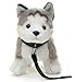 Uni-Toys - Husky grau, stehend (mit Leine) - 30 cm (Länge) - Plüsch-Hund - Plüschtier, Kuscheltier