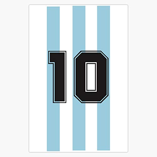 10 Argentina Decal Vinyl Bumper Sticker 5"