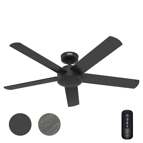 Hunter Fan 52 Inch Black Outdoor/Indoor Ceiling fan with Remote for Porch, Living Room, Office, Kitchen (Renewed)