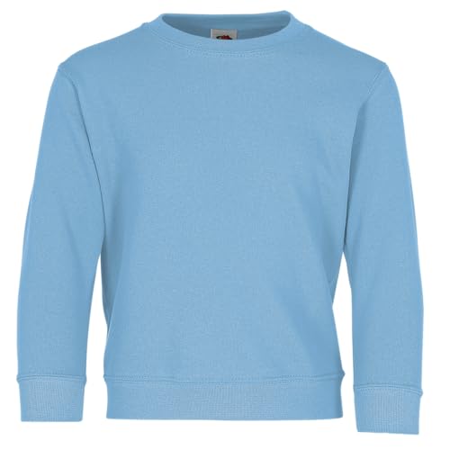 Fruit of the Loom Kids Unisex Classic 80/20 Set-In Sweatshirt (7-8) (Sky Blue)