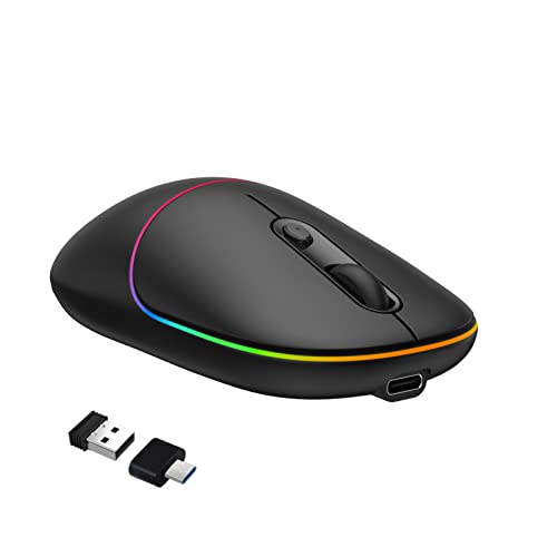 RAPIQUE LED Wireless Mouse, Rechargeable Silent RGB Light Up Computer Mouse with USB Receiver & Type-C Adapter, 2.4G Slim Portable Office Cordless Mice for Laptop, PC, ChromeBook, Tablet, Mac(Black)