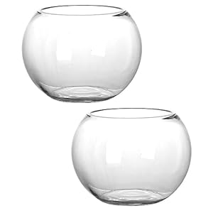 DOITOOL Fly Terrarium 2pcs Glass Bubble Bowl Globe Vase Fish Container Terrarium Small Round Planter Candy Dish Fruit Jar Candle Table Centerpiece for Wedding Home Decor Moss Ecological Terrarium