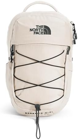 The North Face unisex-adult Borealis Mini Backpack Daypack
