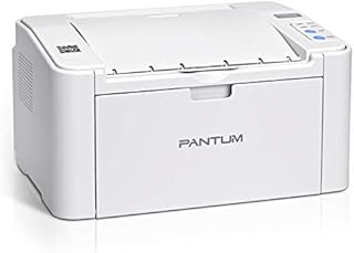 Pantum P2502W Wireless Small Laser Printer Monochrome (Black and White) Laser Printer Mobile Printing Airprint Home School Use