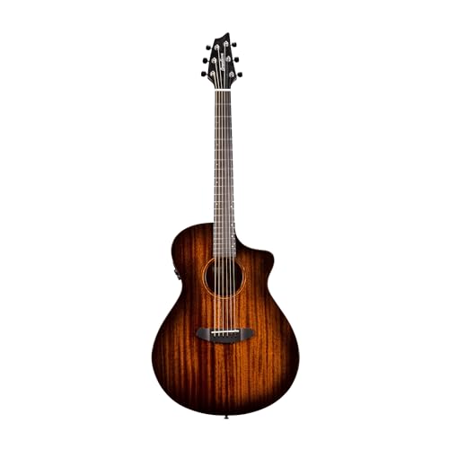 Breedlove I[KjbN ChEbh v RT[g XG[h CE