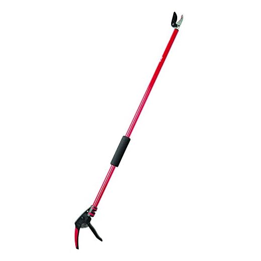 Best time to prune umbrella tree Corona Extendable Pruner 46-Inch