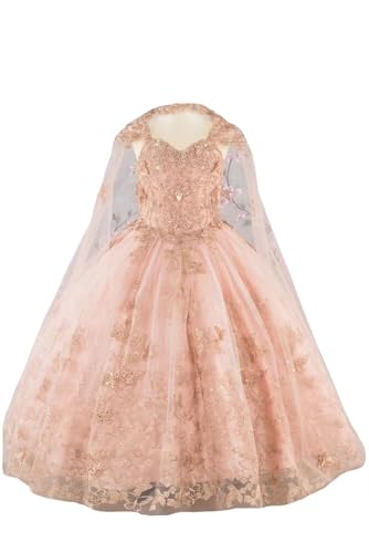 Gold Applique Embroidered Blue Pageant Dresses for Girls Long Sleeves Teens Party Dress Ball Gown 2025