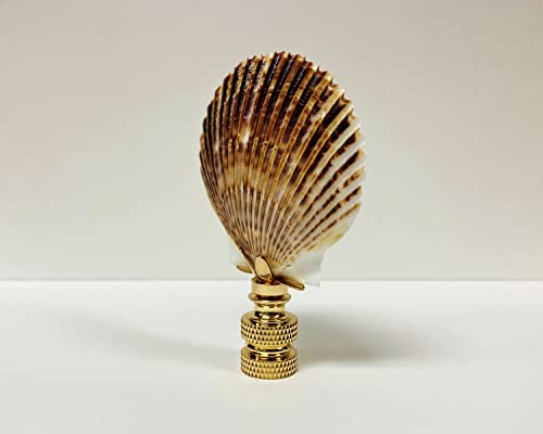 Image of Lamp Finial-SEA Scallop Shell-Natural sea Scallop Shell with Antique Brass or Polished Brass Base (1-pc.) (Polished Brass)