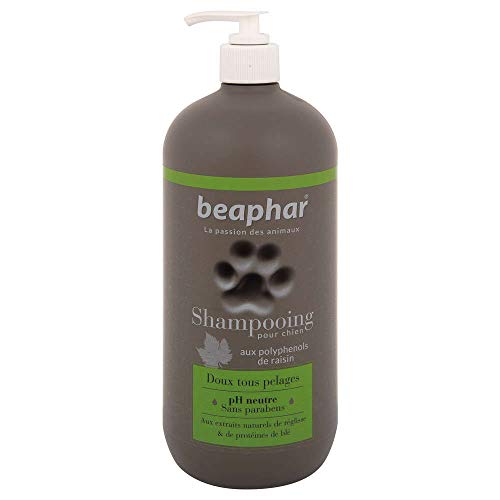 Beaphar Champú Alta Cosmética Perros Todo Tipo de Pelo, Un tamaño 750 ml 750 ml