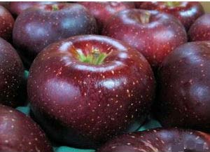 長野産 村松果樹園の特別栽培 りんご 秋映(あきばえ) ５kg(14～20玉前後) A級品のサムネイル