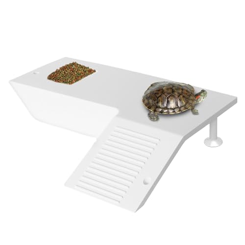 Lmyit E~K̃oXLOGAAE~K̃oXLOvbgtH[ | T̐̓vbgtH[Tortoise Terrace Stable Reptile Terrace J̃vbgtH[ | J̓vbgtH[A^