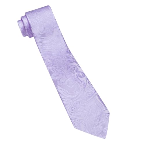 Image of Barry.Wang Paisley Tie for Men Silk Woven Necktie and Tie Clip Set Wedding Party Business Formal