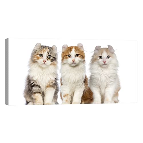 Tableau animaux phosphorescent DCA073-3 brillant dans le noir 60x120