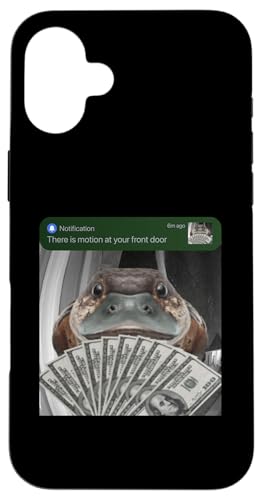 �J���m�n�V ���փh�A�ɓ��������� ������ �X�}�z�P�[�X iPhone 16 Plus �p