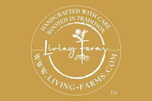 Turkey Tail Mushroom Whole Dried Organic - Polyporus Vesicolor Yun Zhi - 50 Grams