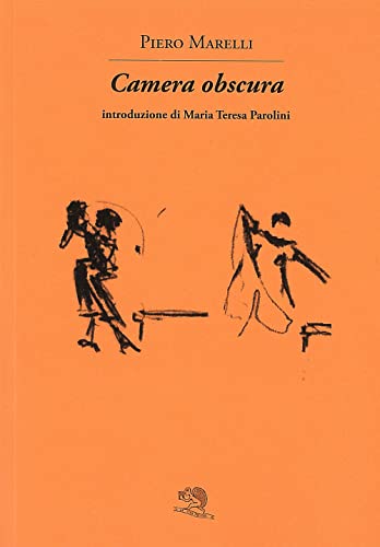  Camera obscura