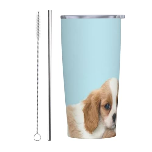 20oz ԗp ԃJbv XeX{g  ˂ 킢 i11j ԗp|bg ԗp Jbv ^fM Rh~ ܂قт   }O{g X|[c{g @r fMJbv XeX st ݕpj̎q ̎q s