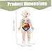Imagen de Modelo de Cuerpo Humano para niños 7x4 Modelo de anatomía Órganos Cuerpo Humano Desmontable ABS Sin Rebabas Juguetes científicos Anatomía educativa para niños Mayores de 3 años