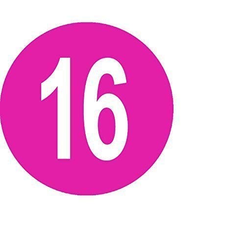 Pack of 100 Ladies Dress/Garment Size Stickers/Sticky Labels (Pink 16)