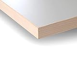 Modulor Holz Tischplatte in 2,5 x 90 x 200 cm mit Kern aus Spanplatte, Platte für Arbeitstisch, mit Buche-Umleimer und Laminatbeschichtung, grau geperlt