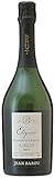 ジャン・バブー ブランケット・ド・リムー エレガンス [ スパークリング 辛口 フランス 750ml ]