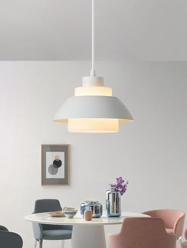 Lampe de plafond nordique et luminaire décoratif pour restaurant
