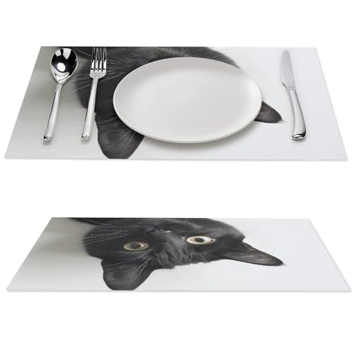 Set de table chat noir pour décoration de bureau et terrasse - 2