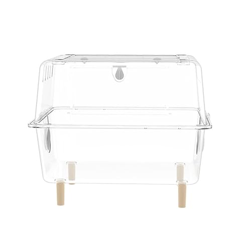 Zekono ^nX^[A܂肽ݎANnX^[P[WA^ybgAɍœKȃbgnlY~ qQgJQAlY~AJIACOAiȂ p (ȃNX^P[W)