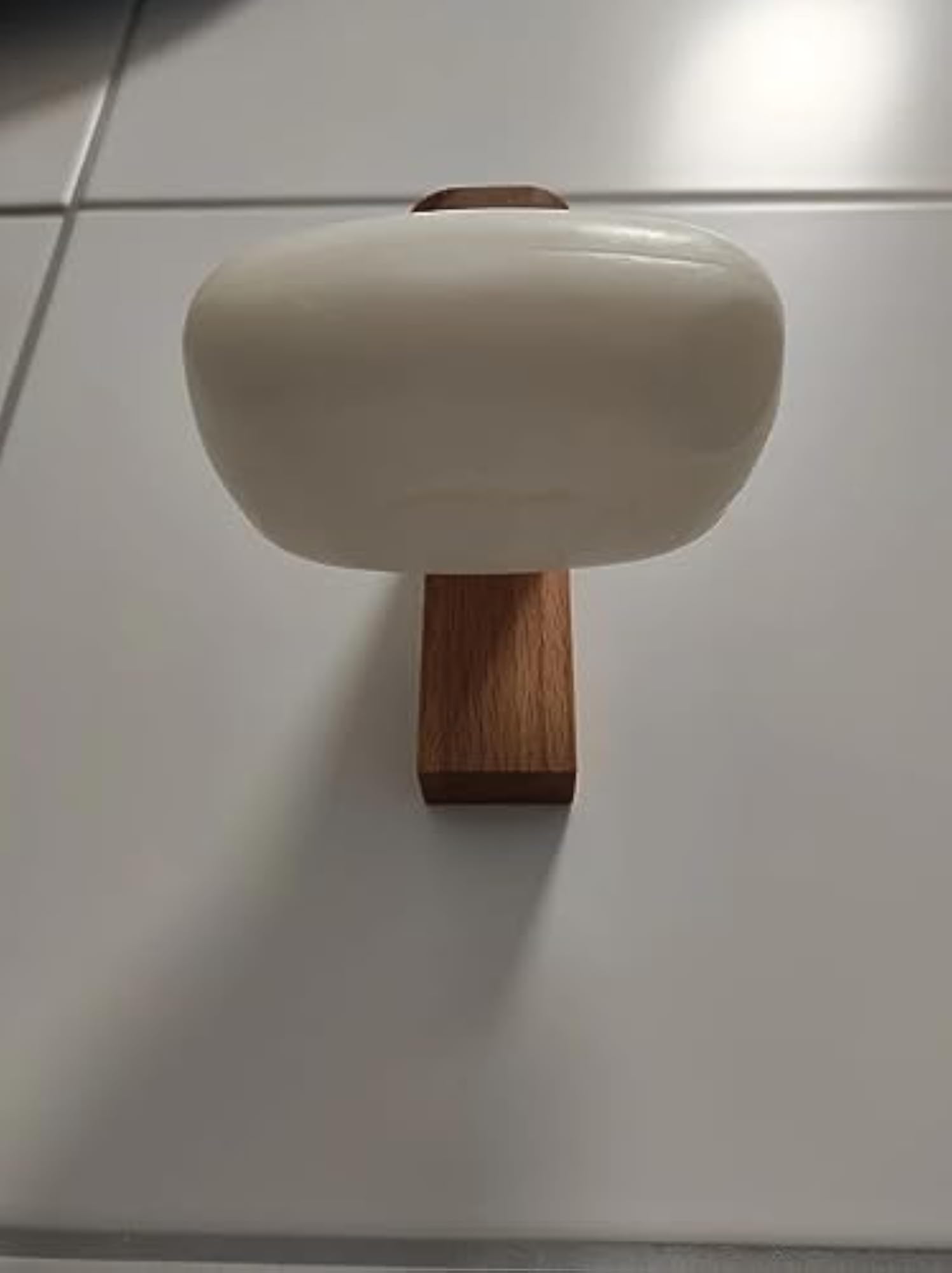 Magnetic Soap Holder with Plates for Bathroom