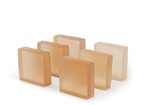 PIWOSGOL 6 Stück Geruchsvernichter für Pura Max