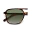 Tortoise Frame/Green Grading Lens