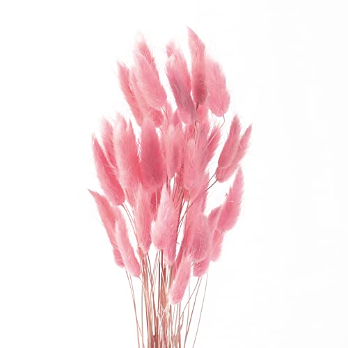 ROOBZE Pampas secas Decoracion 50 Unidades Flores secas Naturales Ramo, decoración de Dormitorio y hogar (Rosa)