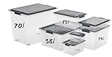 Rotho Compact Aufbewahrungsbox 38l mit Deckel, Kunststoff, blau