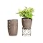 Mocha - 04Pcs