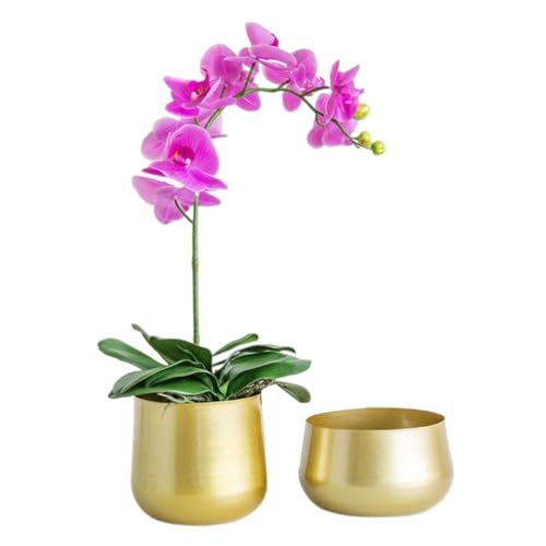 Pineeseatile metal planter,Gold Plant Pot Metal Flower Pots Brass Garden Planters Round Succulent Containers with Drainage Hole 2Pcs