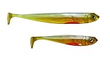Boddenangler